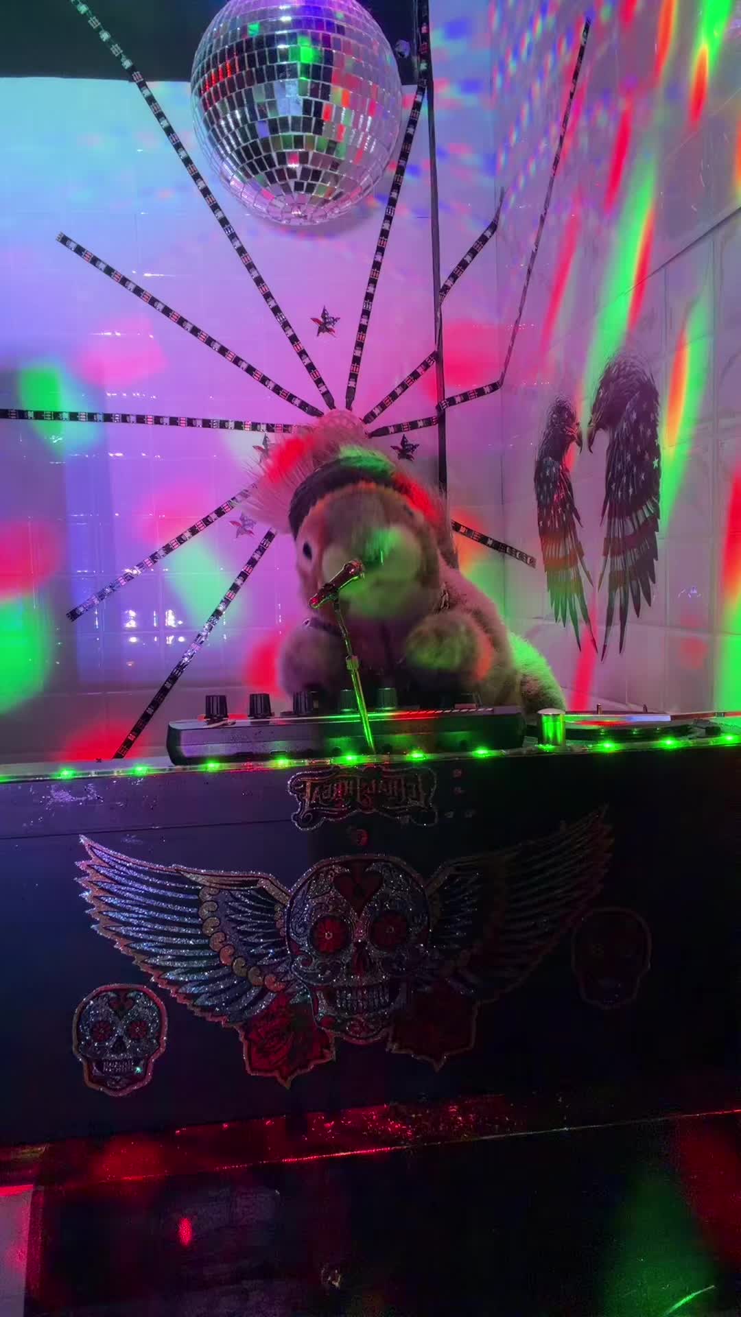 @djniddle
