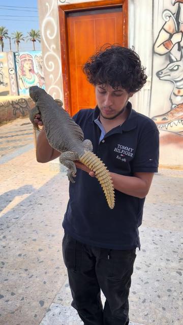 @سامي العقباوي Samy ALAkabawi