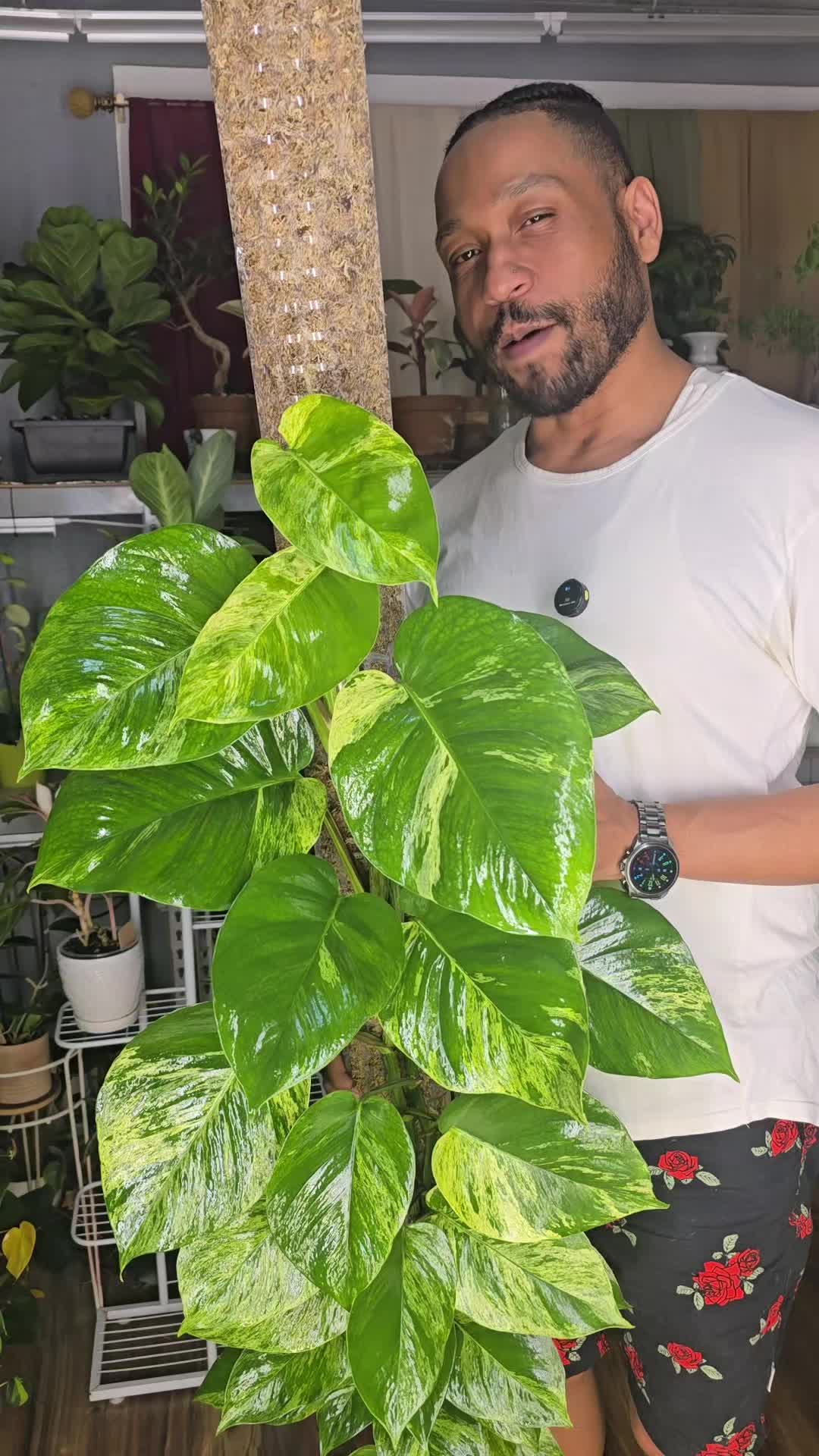 @JT - BigEGOPlants
