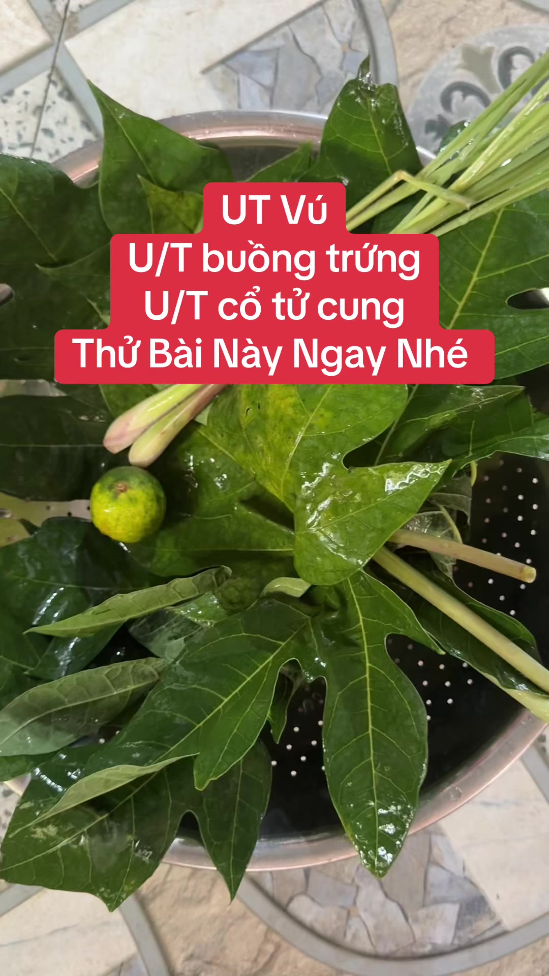 @suckhoevang98