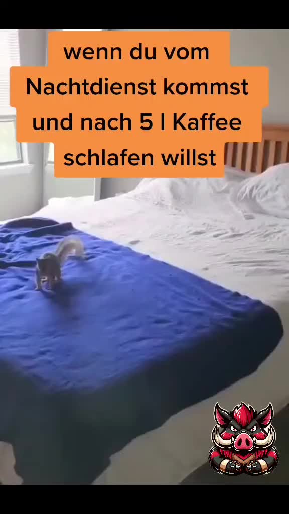 @🐗Fränkischer-Rampen- Eber🐗
