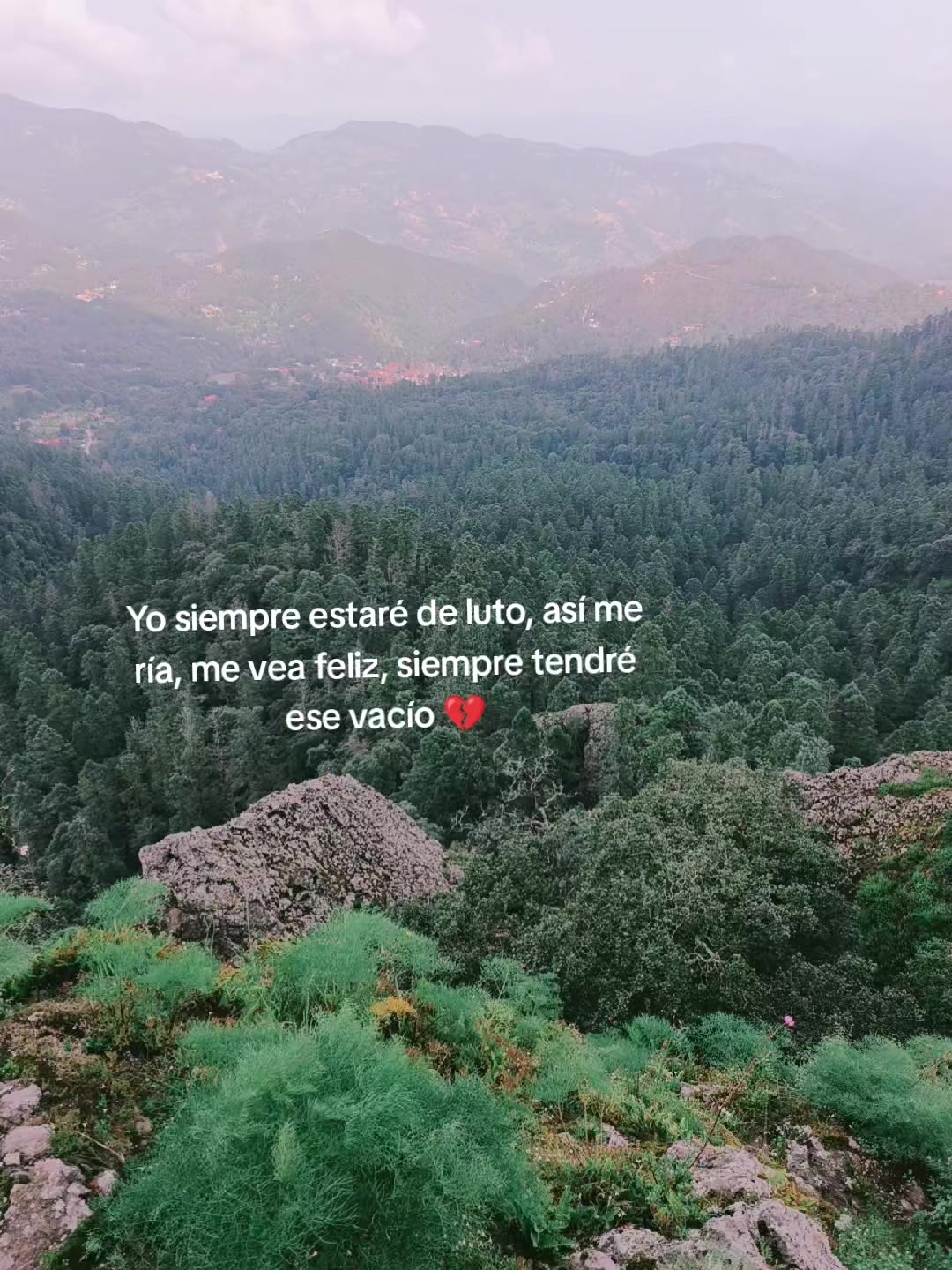@⭐✨