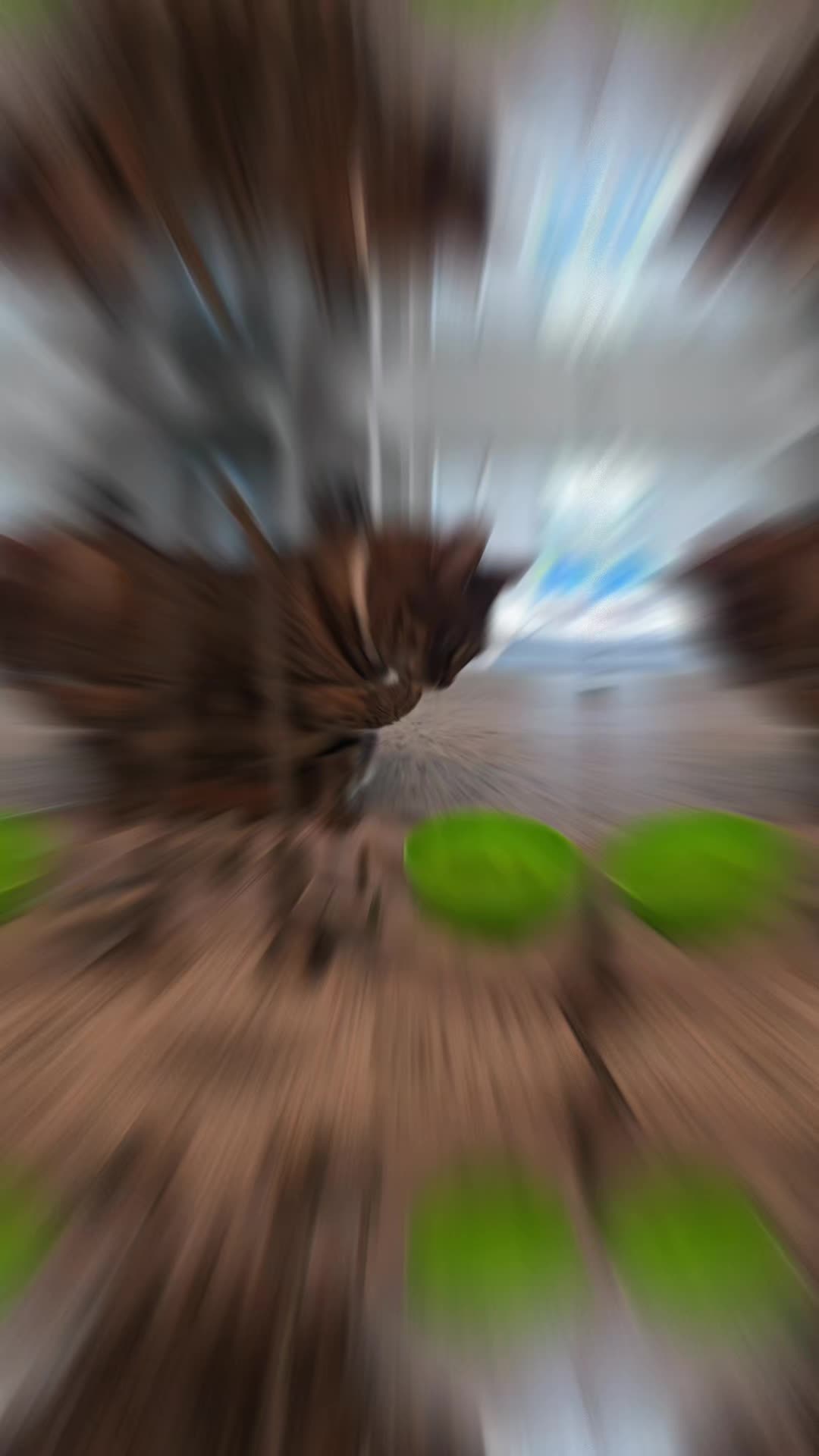 @Mom of 2 dragons