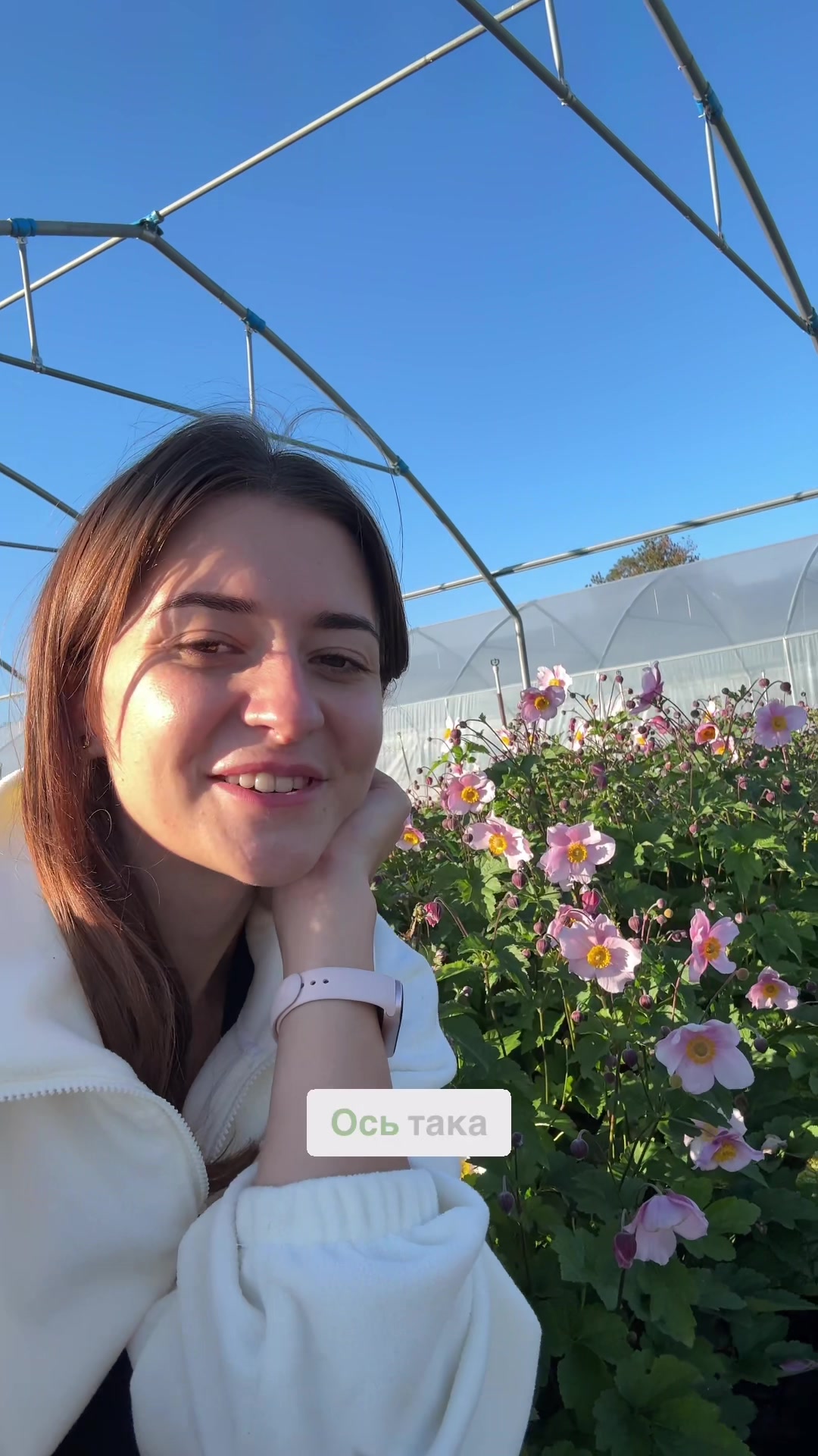 @FLORIUM – Мої Рослини