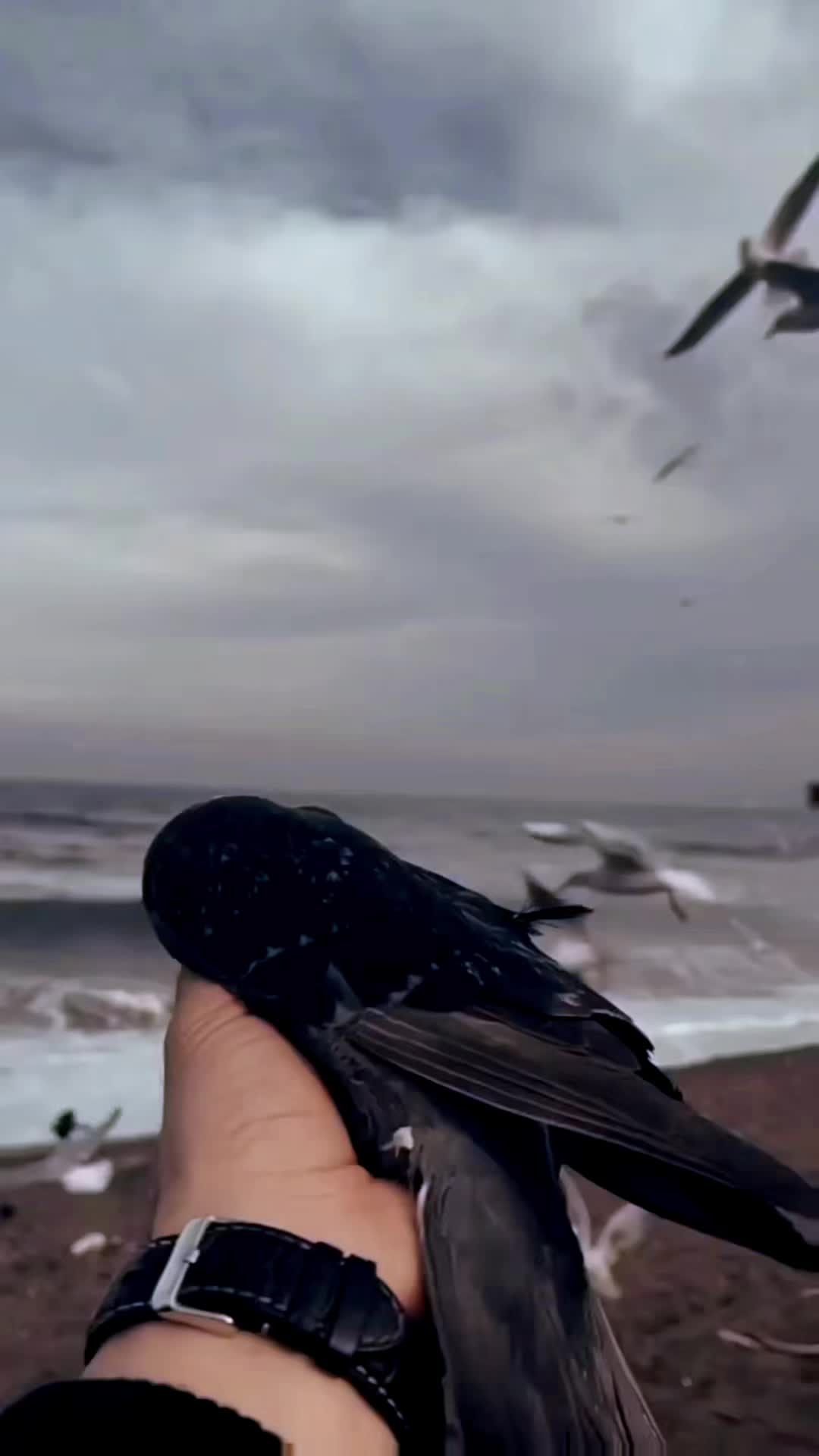 @Kunalan Nair