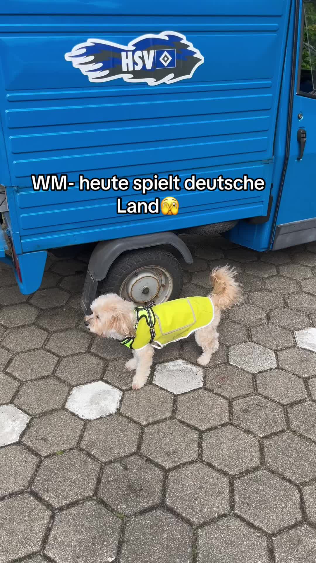 @DogMilow