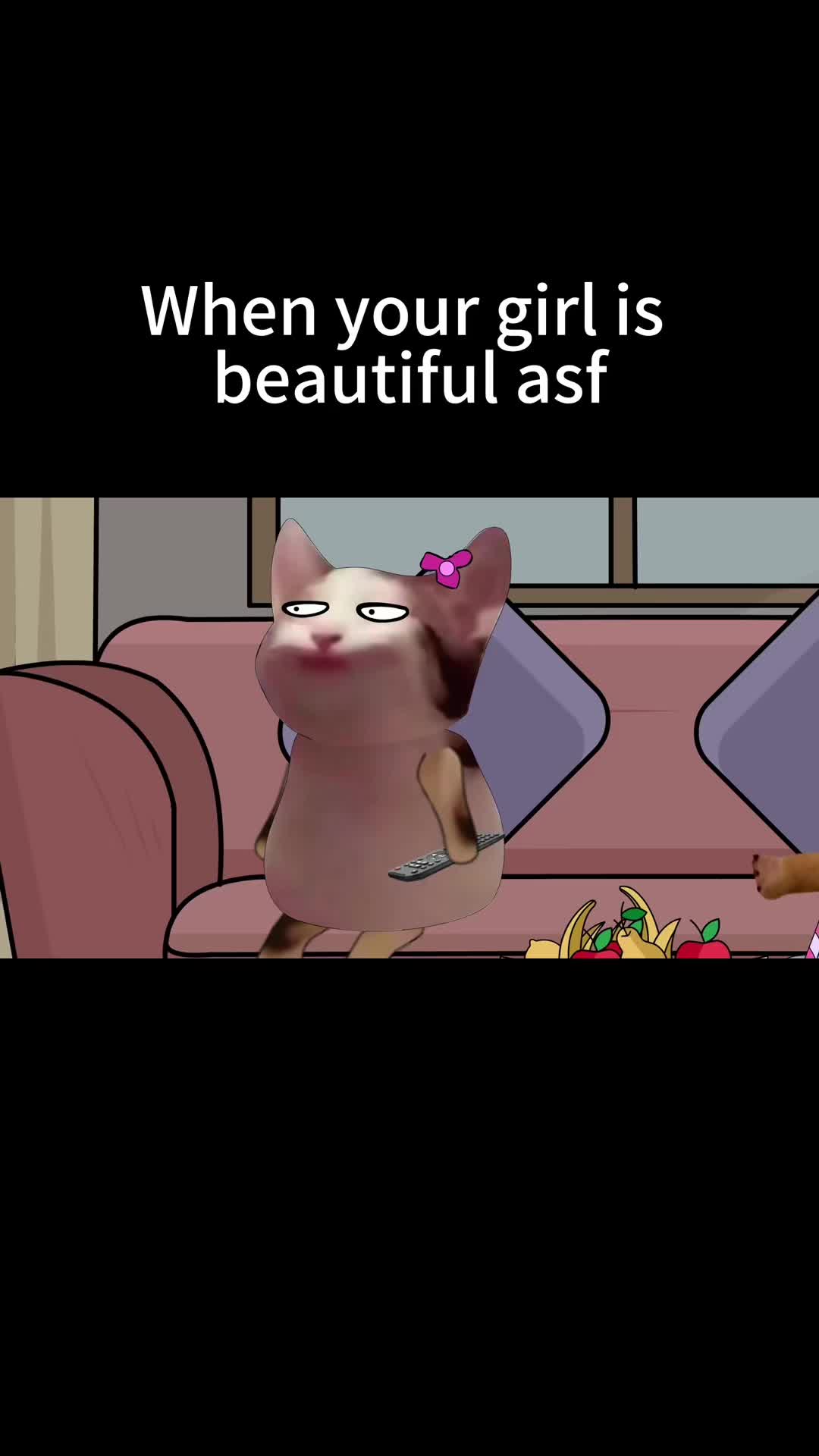 @Animation field