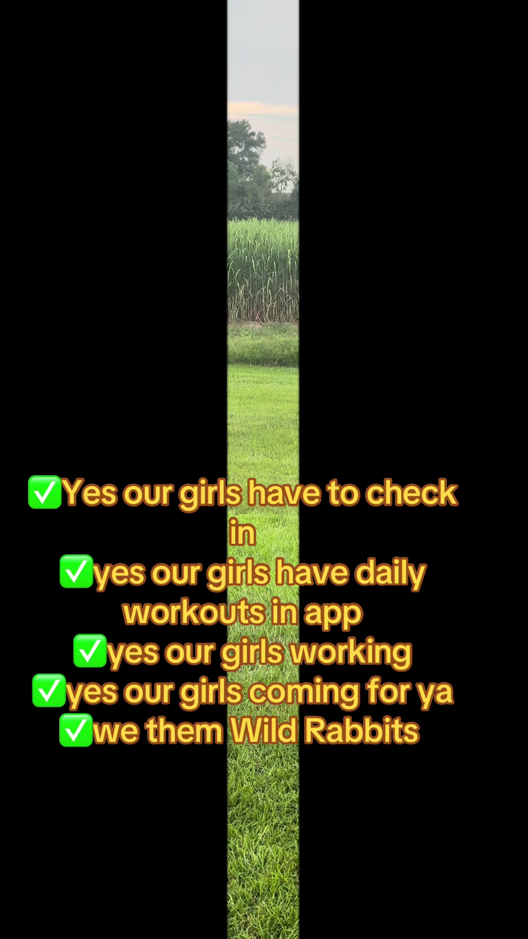 @cindyturpeau