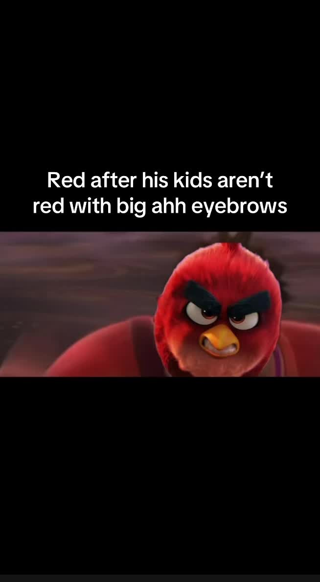 @AngryBirdsMemes