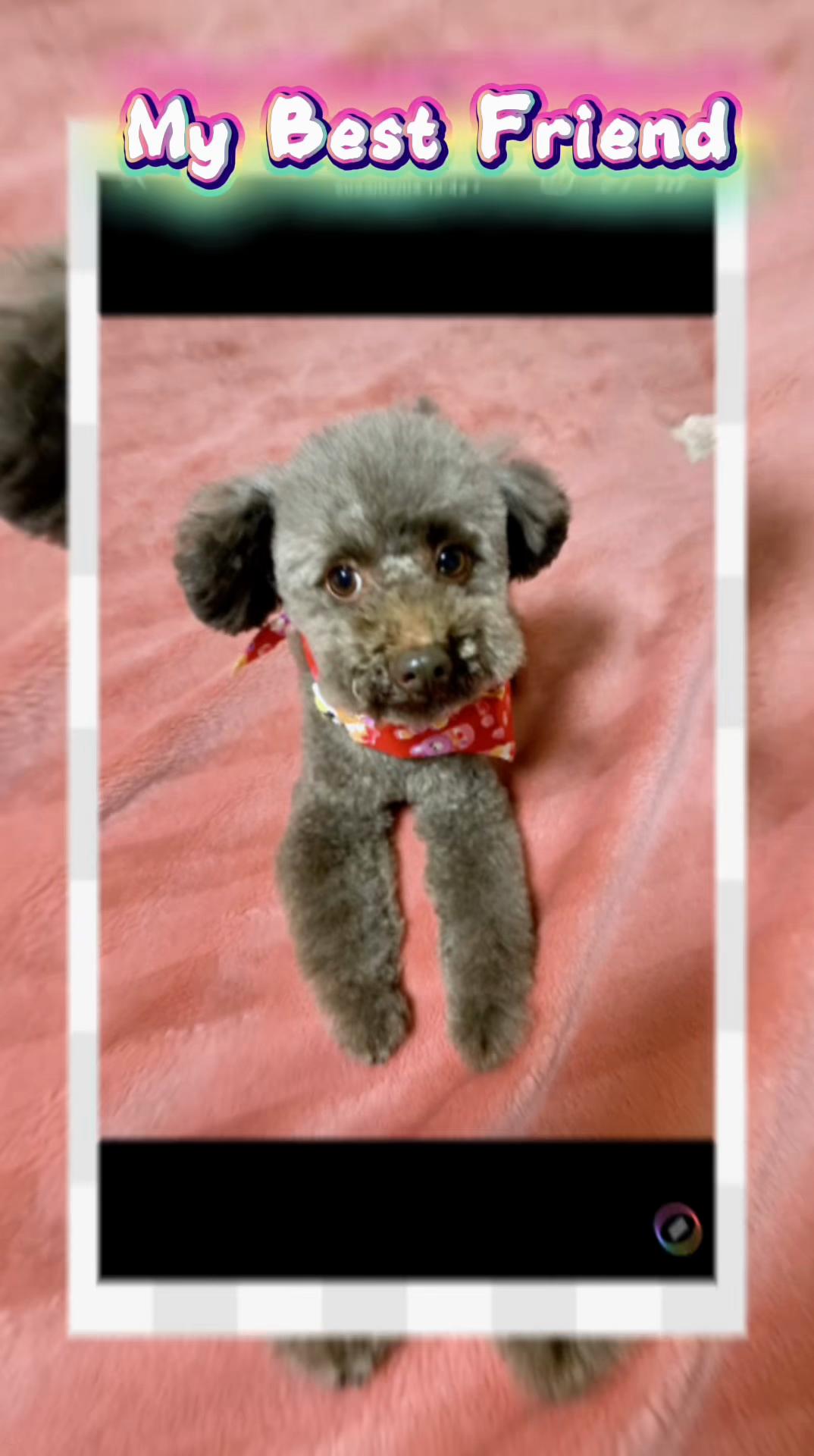 @要子💕ayu🐶