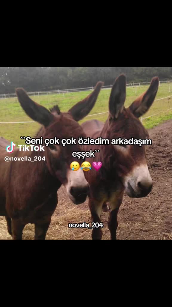 @Ali
