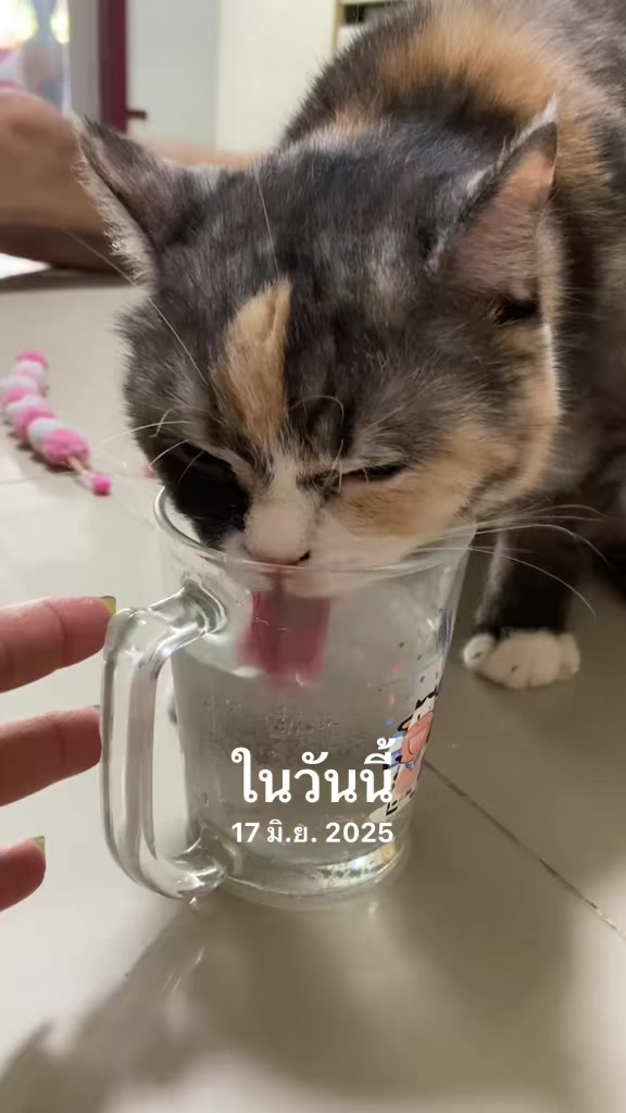 @luxsiriwan21