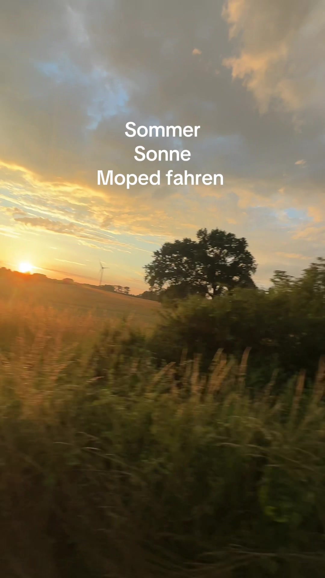 @sophie_pinnekaemper