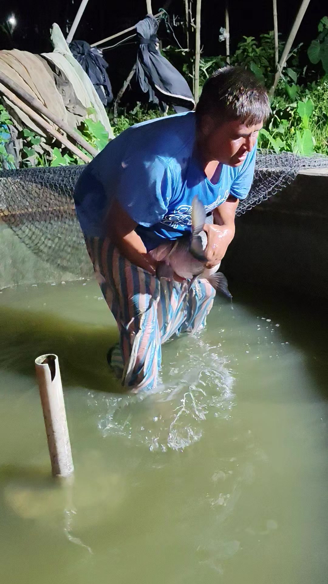 @Fish Lovers Bangladesh