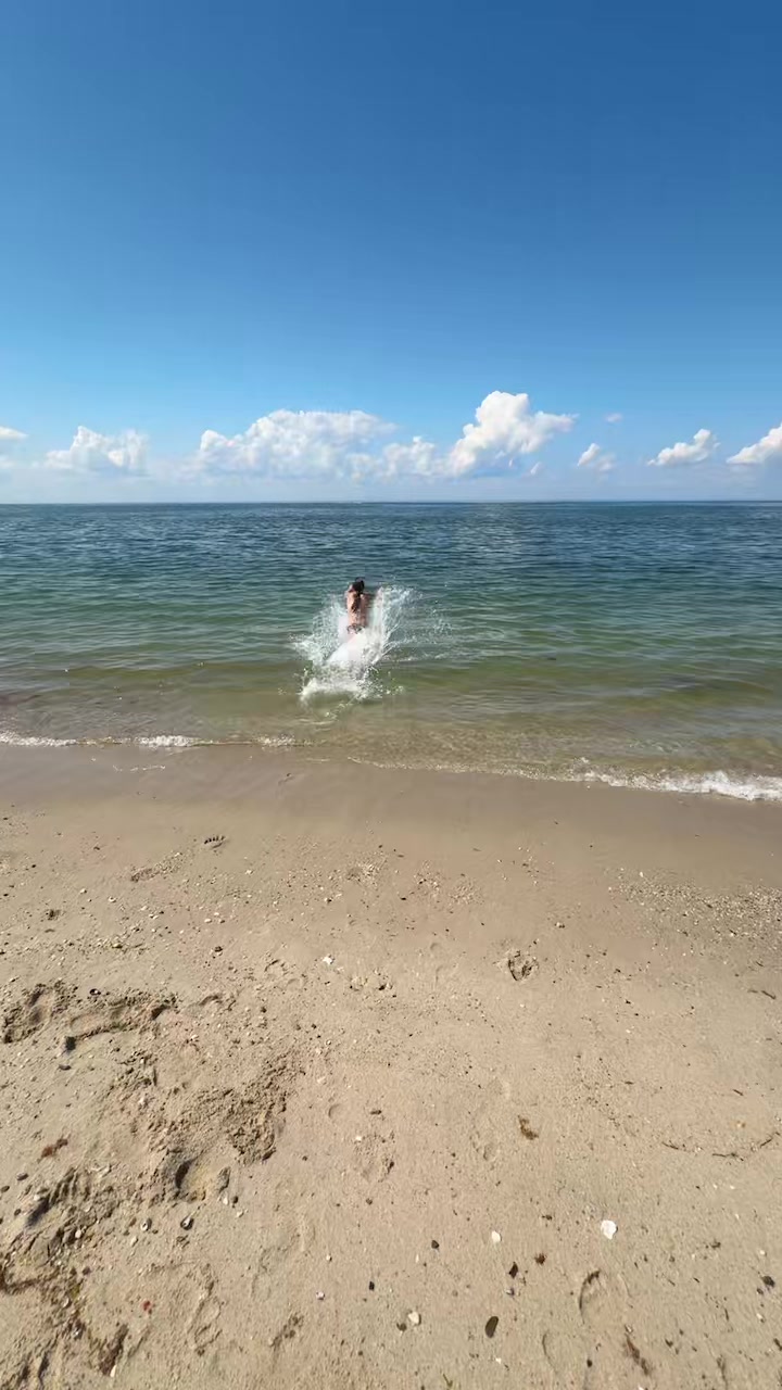@Scar_main🏝️☀️