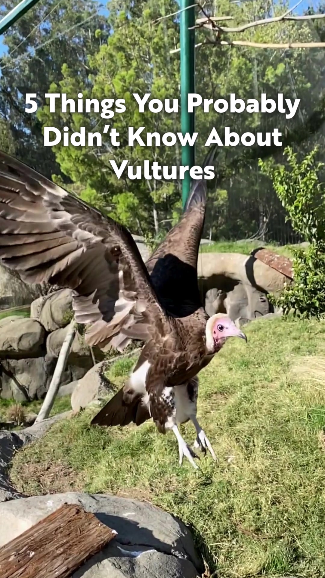 @Oakland Zoo