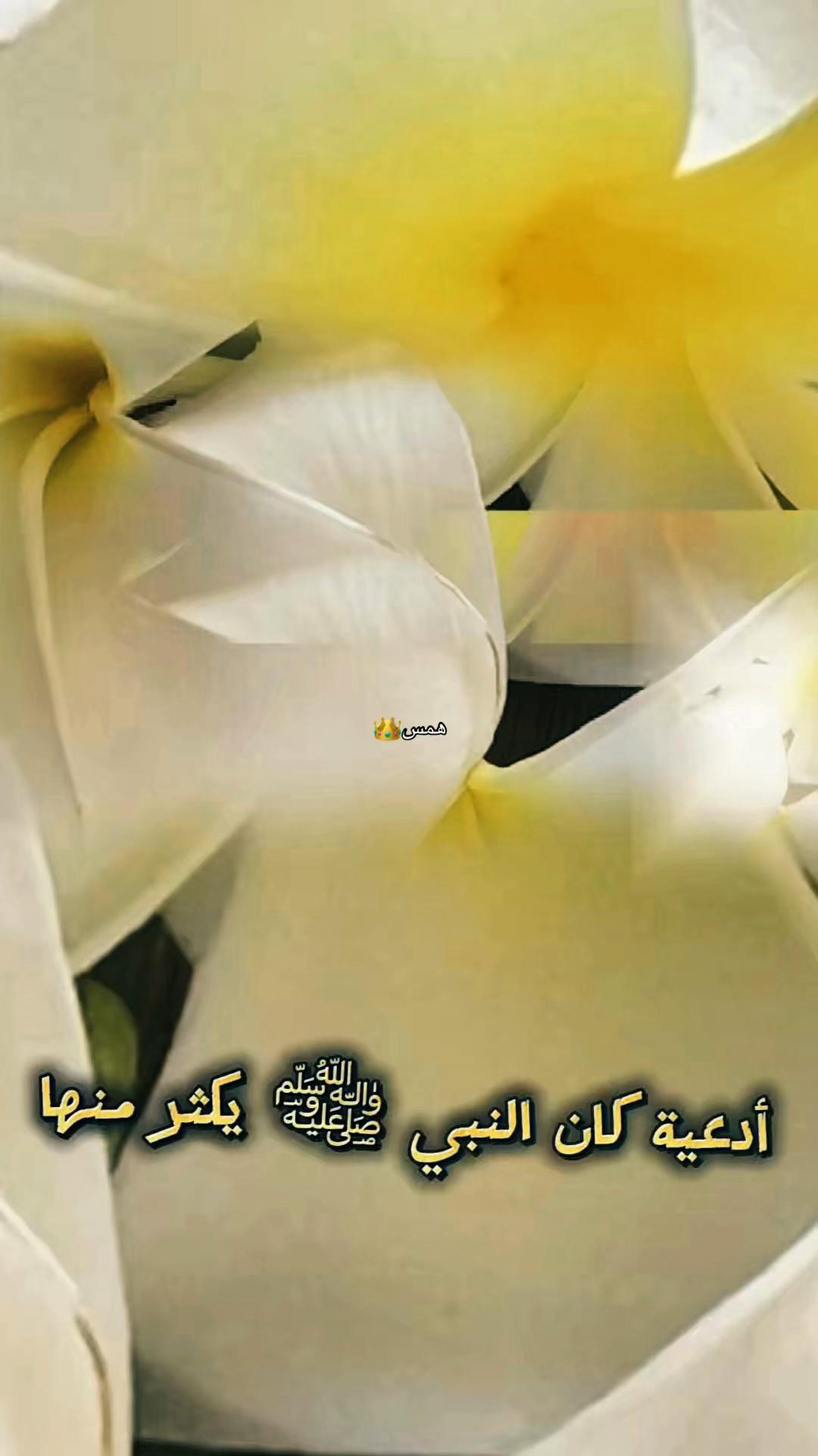 @ملكة الكون 👑