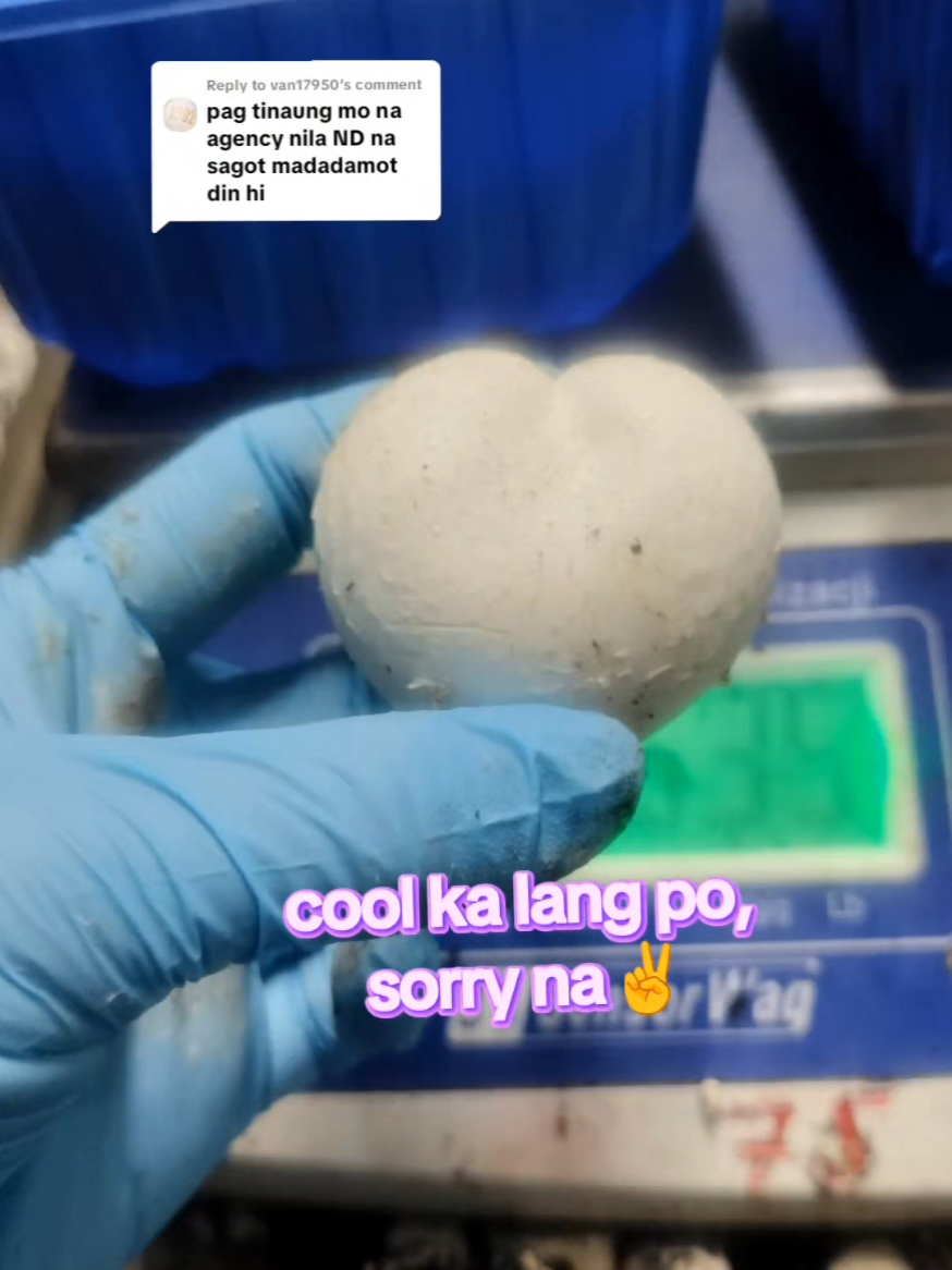 @tintirintin😉🇵🇭🇼🇸🇵🇱🇮🇪