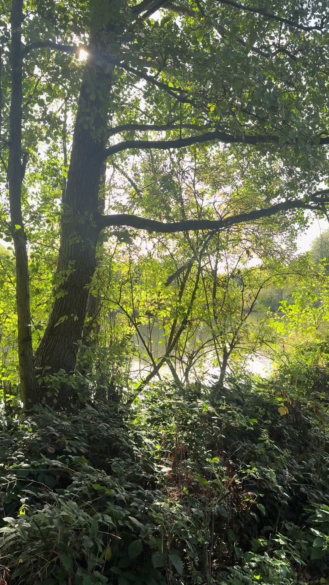 @Nature Mind ᨒ ོ ☼