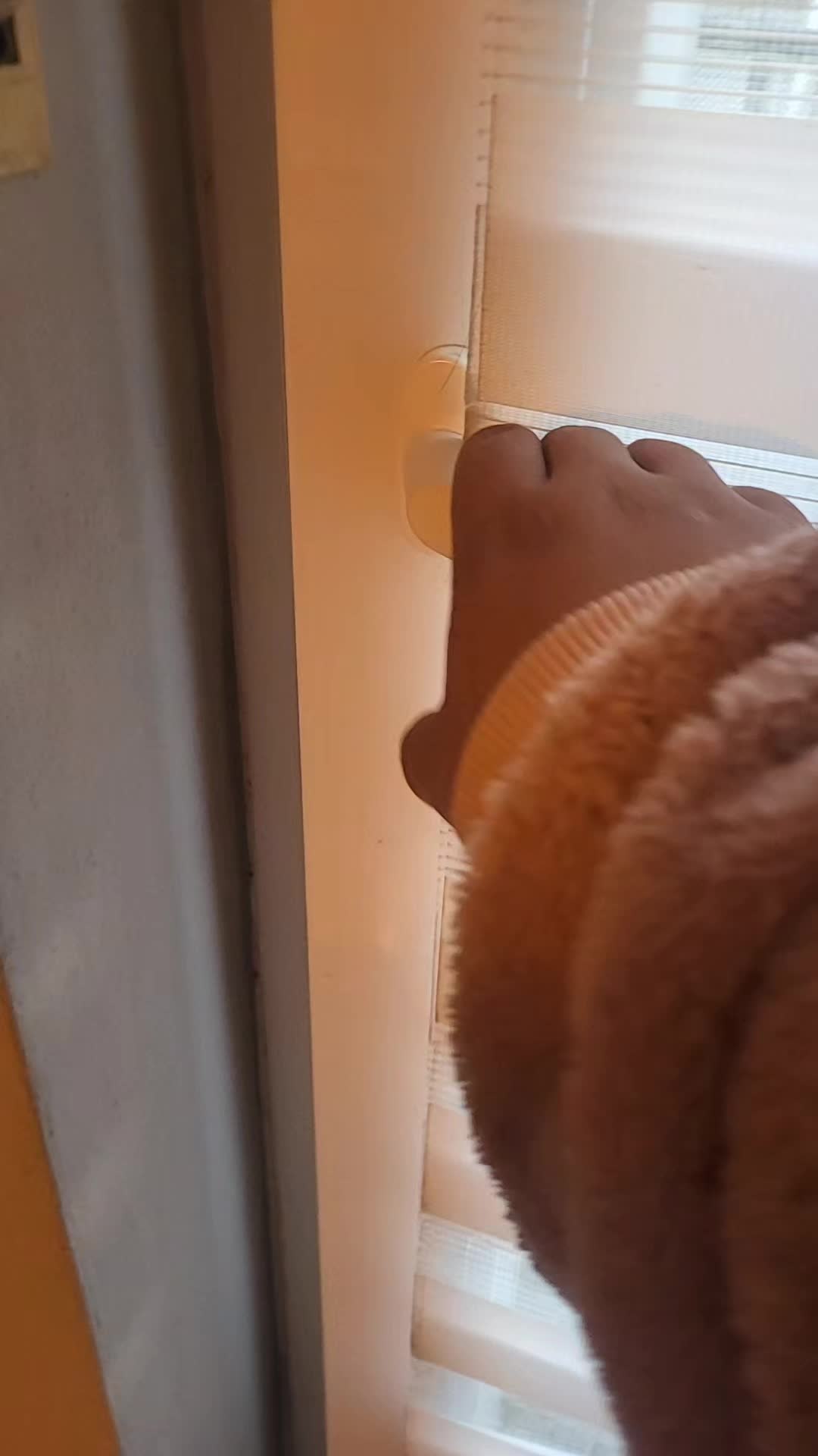 @๐ธ๐๐๐๐๐๐๐๐พ๐๐๐๐๐โถ