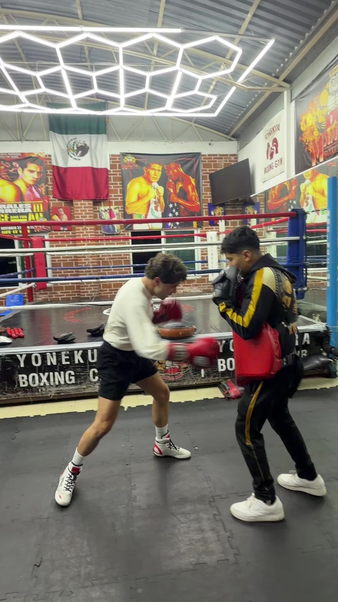 @Yonekura Boxing Club