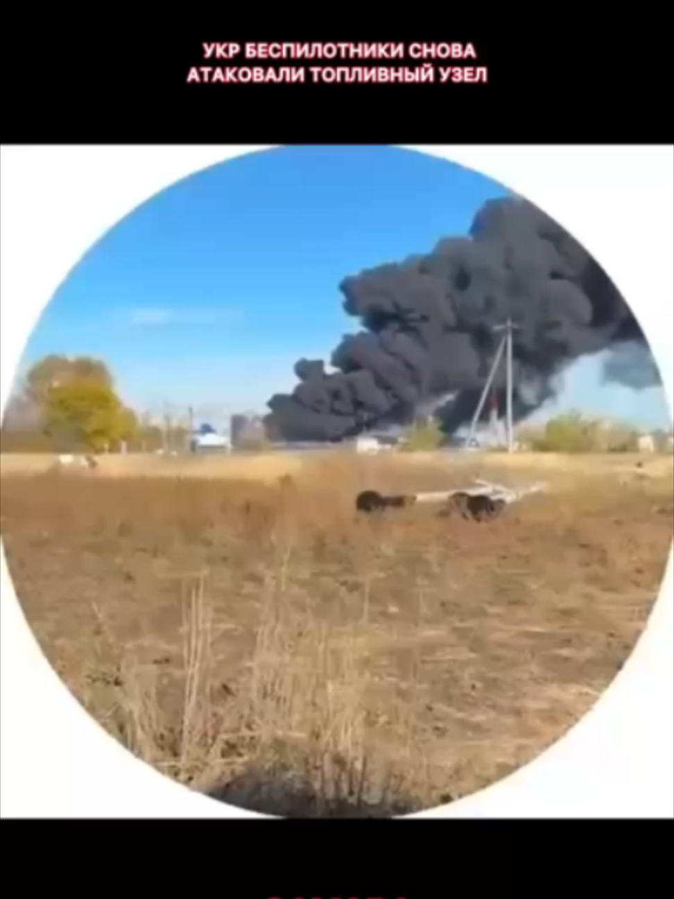 @ФронтоVые Zаметки 🇷🇺