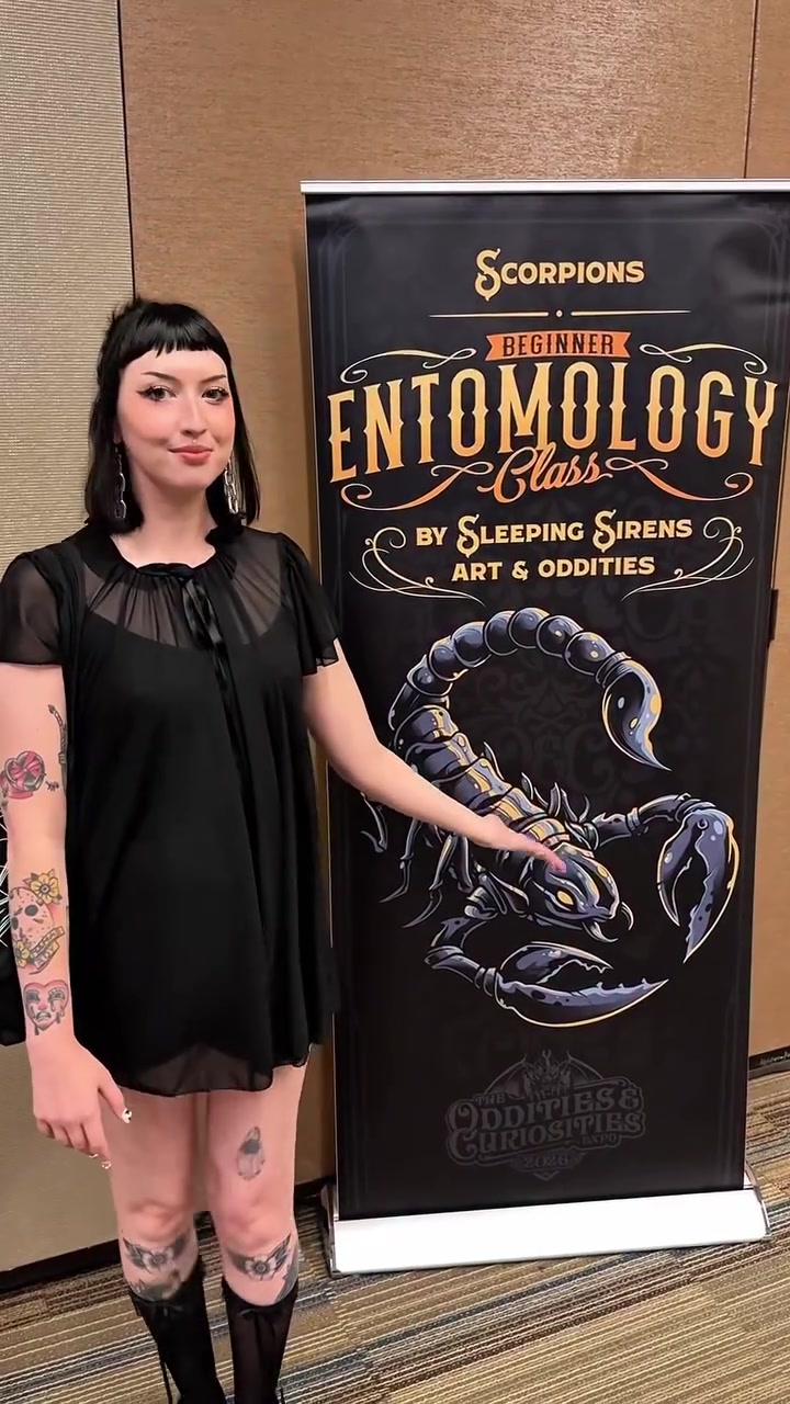 @Oddities & Curiosities Expo