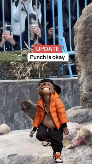 @grouchster