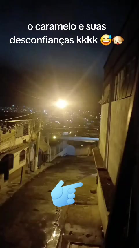 @Paula Santos