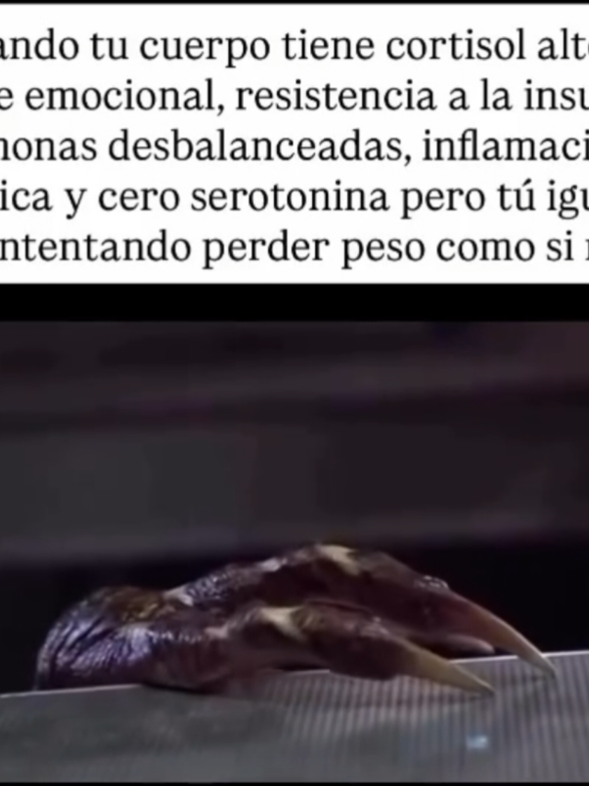 @Lore