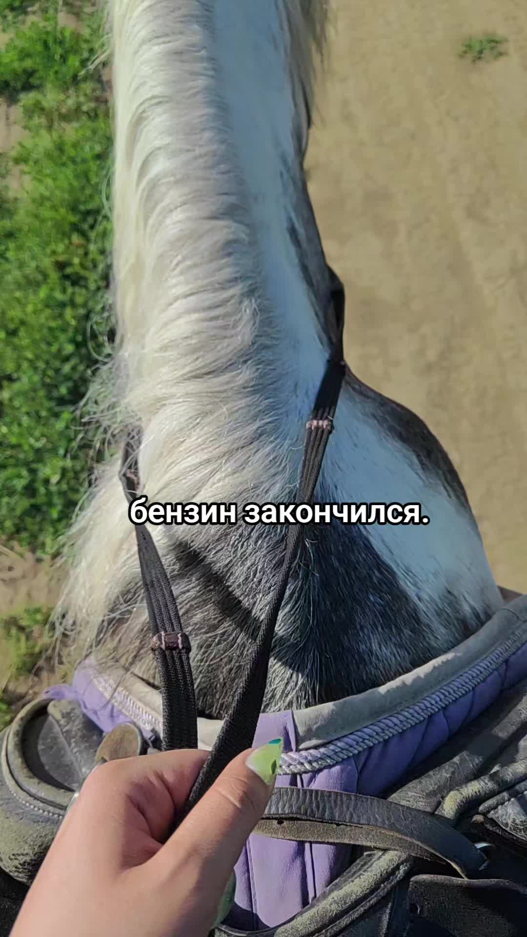 @тгк: лапочкина