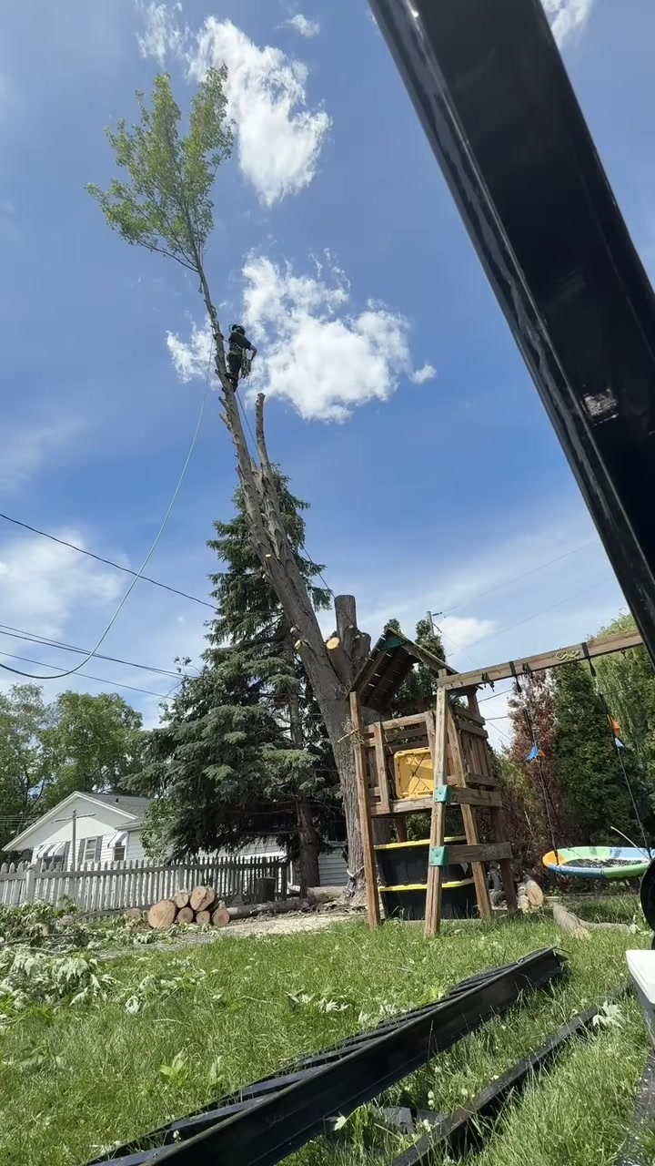 @Shane Kerrigan