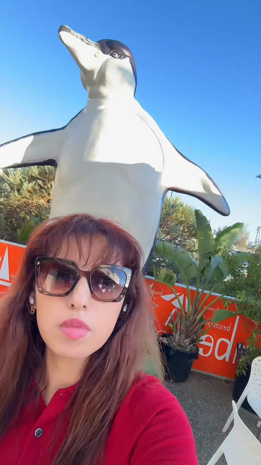 @sajiasahar