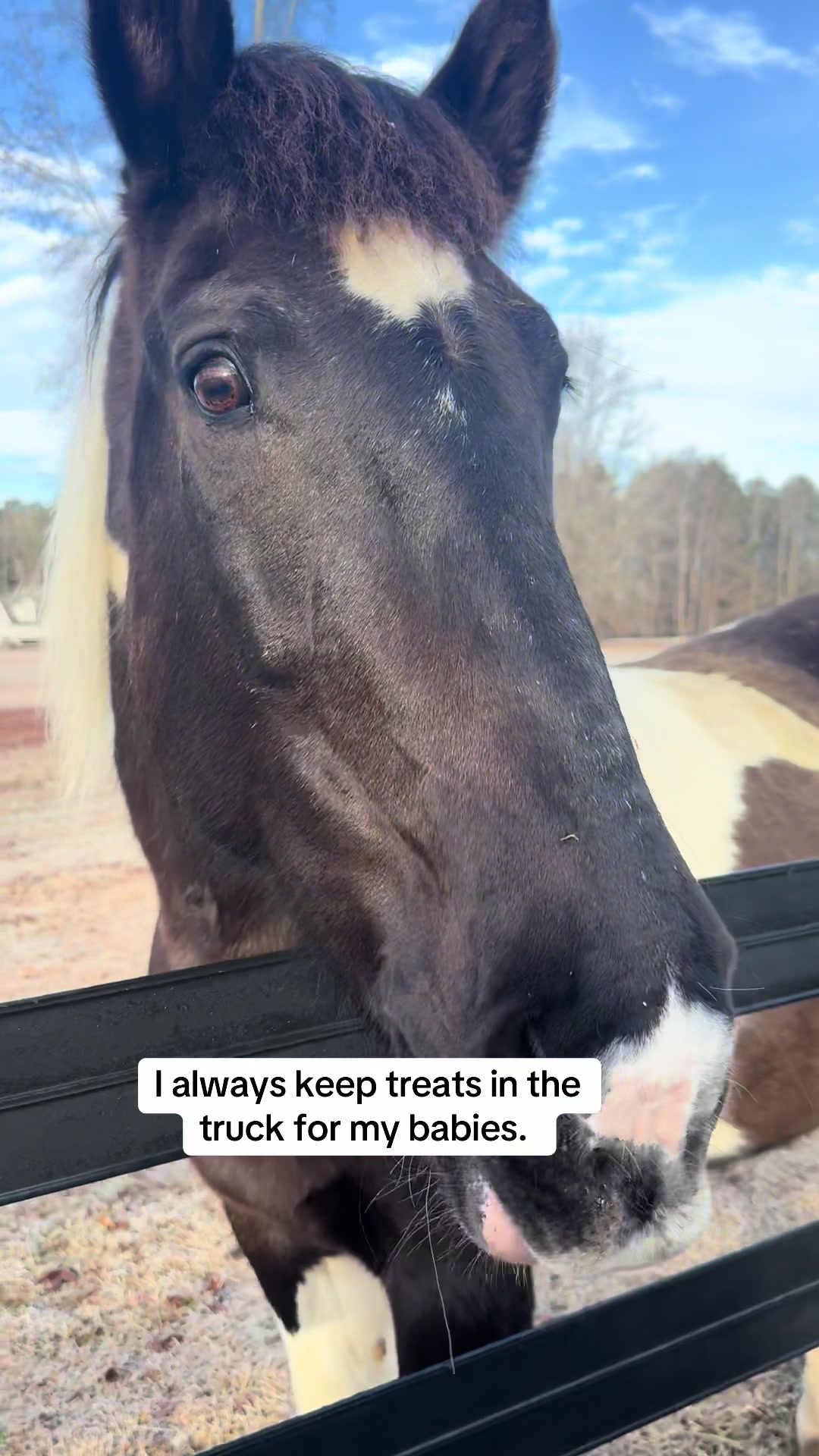 @southerncharmcarriages