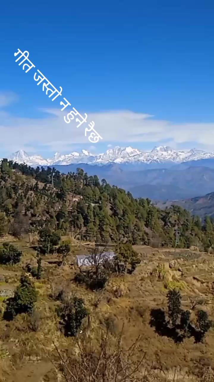 @preeti Rana 543