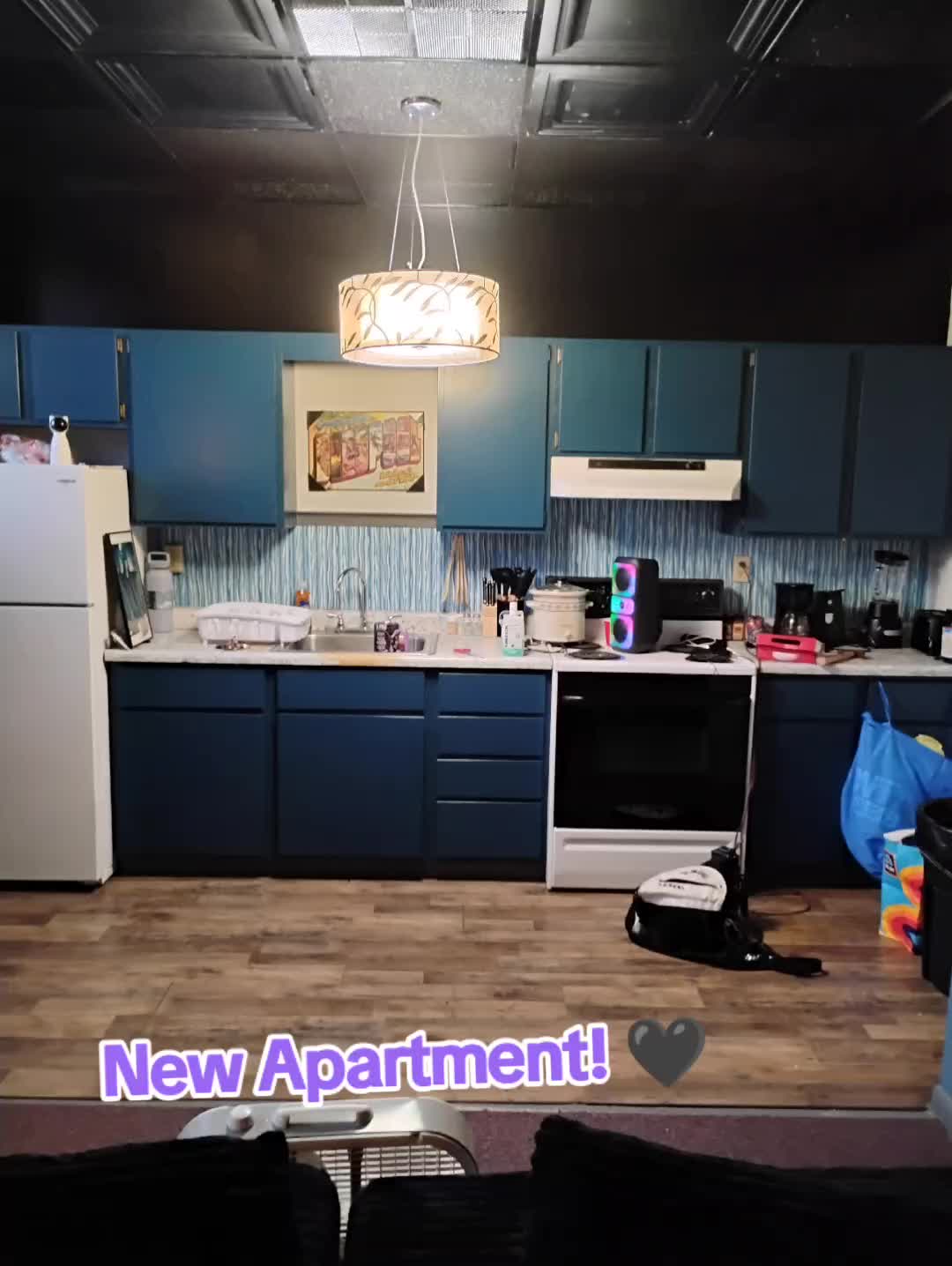@Mad Kitti3