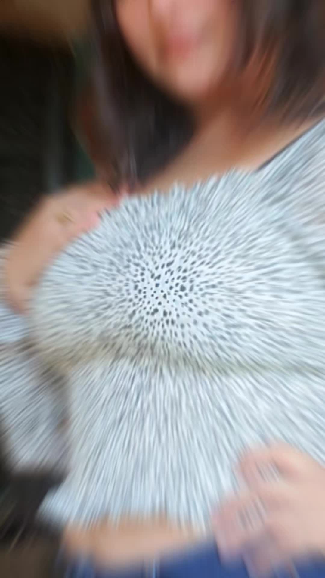 @𝒀 𝒂 𝒋 𝒂 𝒊 𝒓 𝒂 🌸