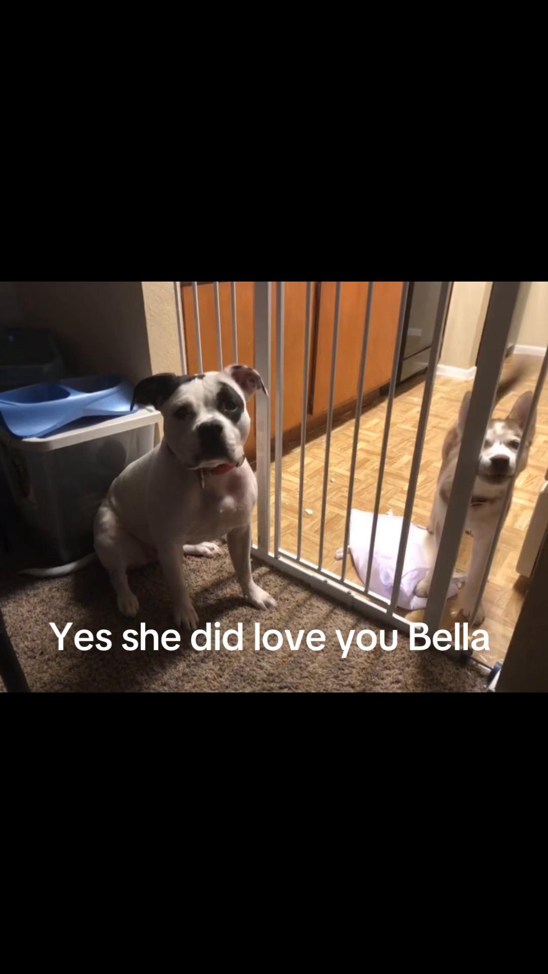 @Bella memories