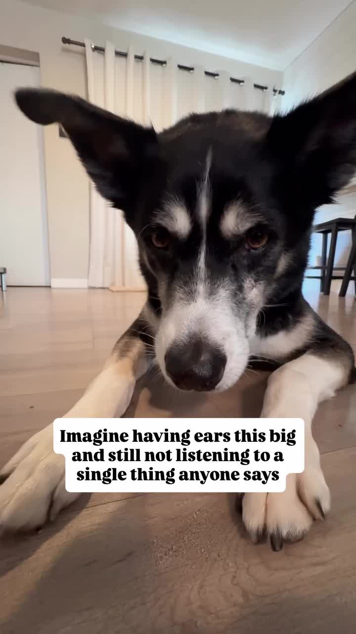 @Marissa | Kota & Aspen