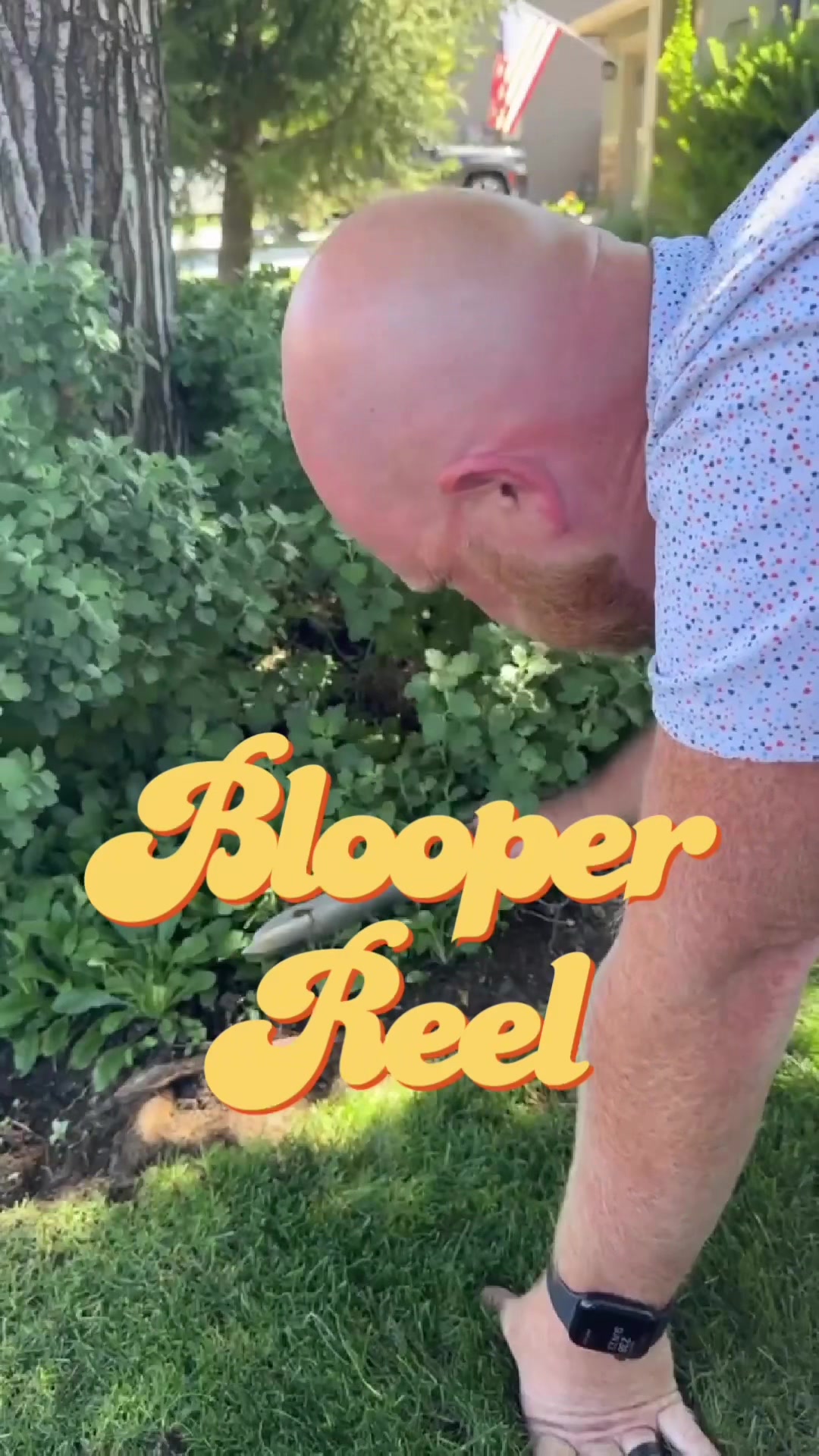 @backyardBeeg