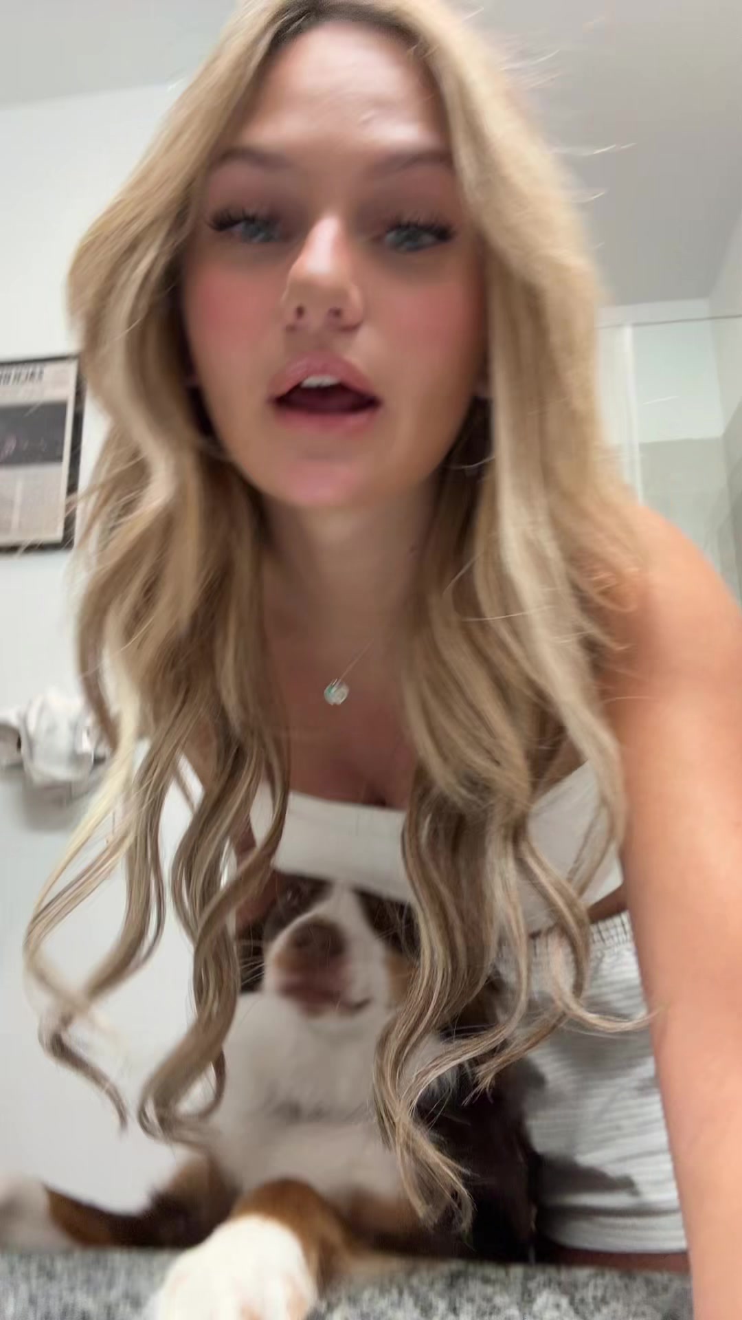 @haleyisnotcooll