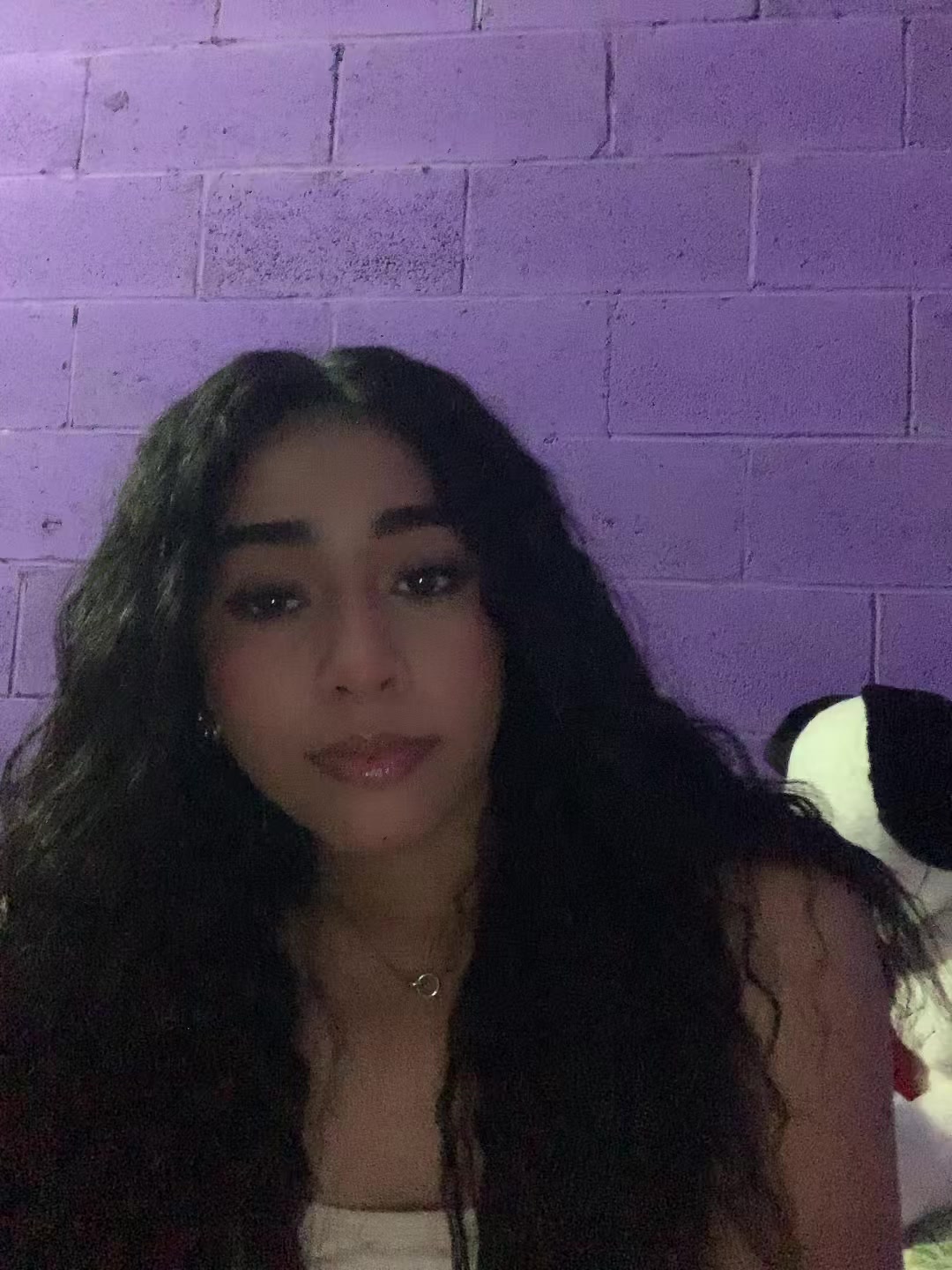 @abicita