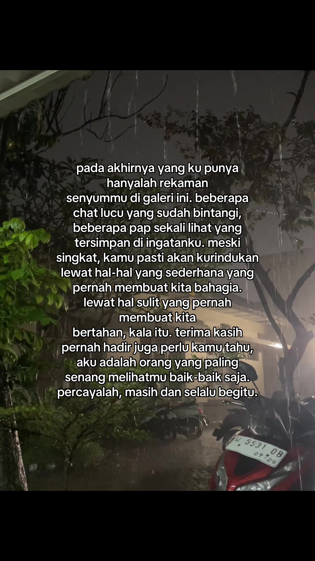 @ayippp