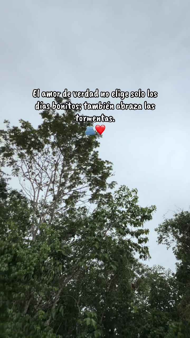 @⍣𝓚𝓛⍣🌻✨