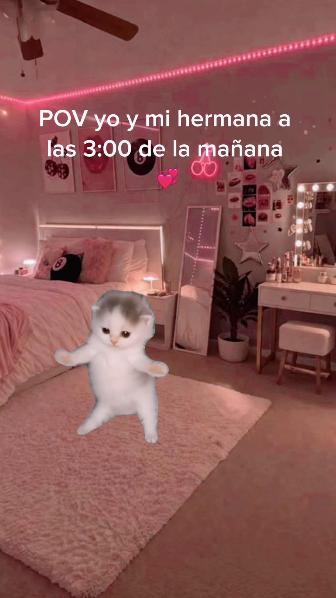 @soycami20200