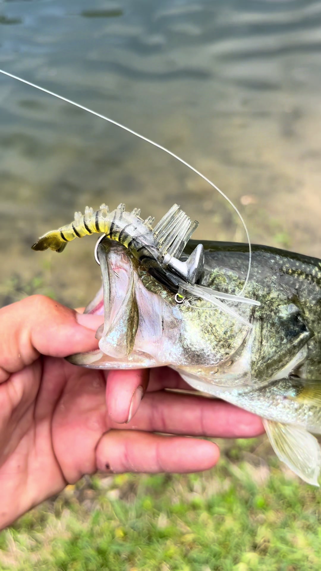 @Fishing with Dante