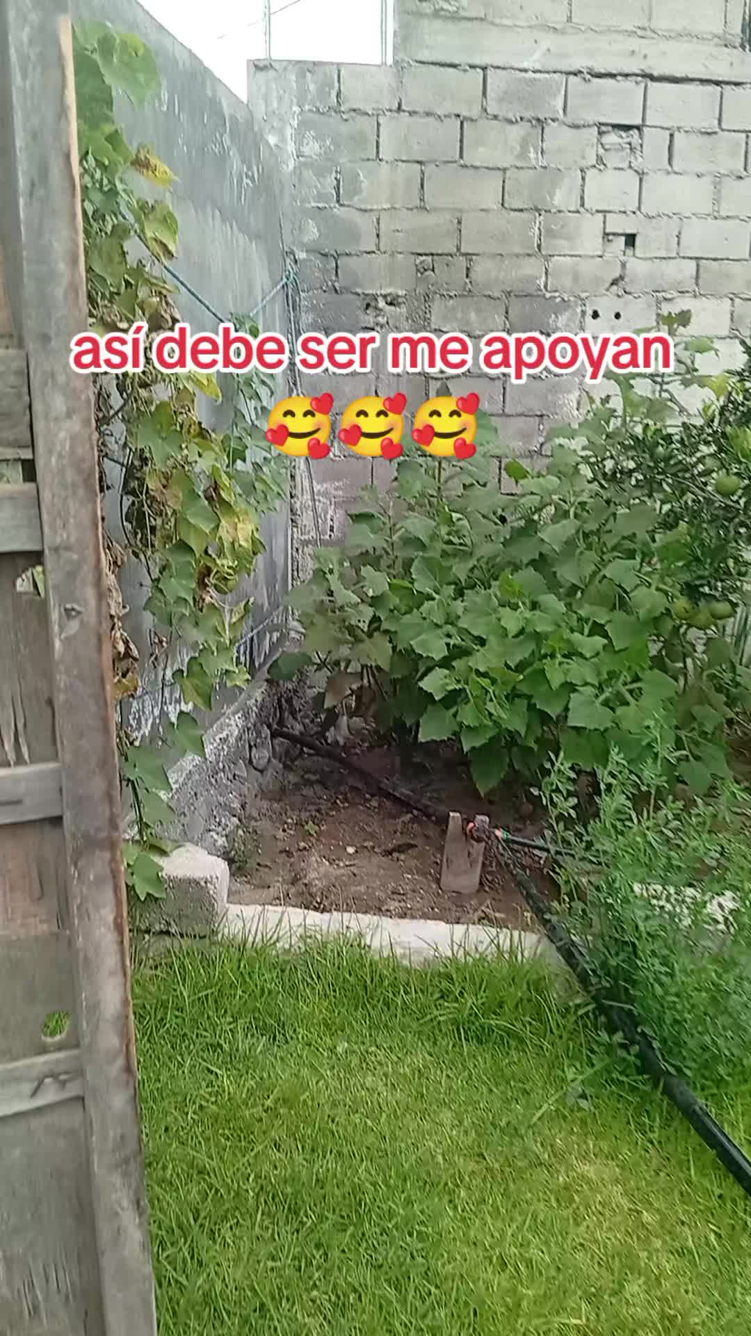 @JEIMS ADANS