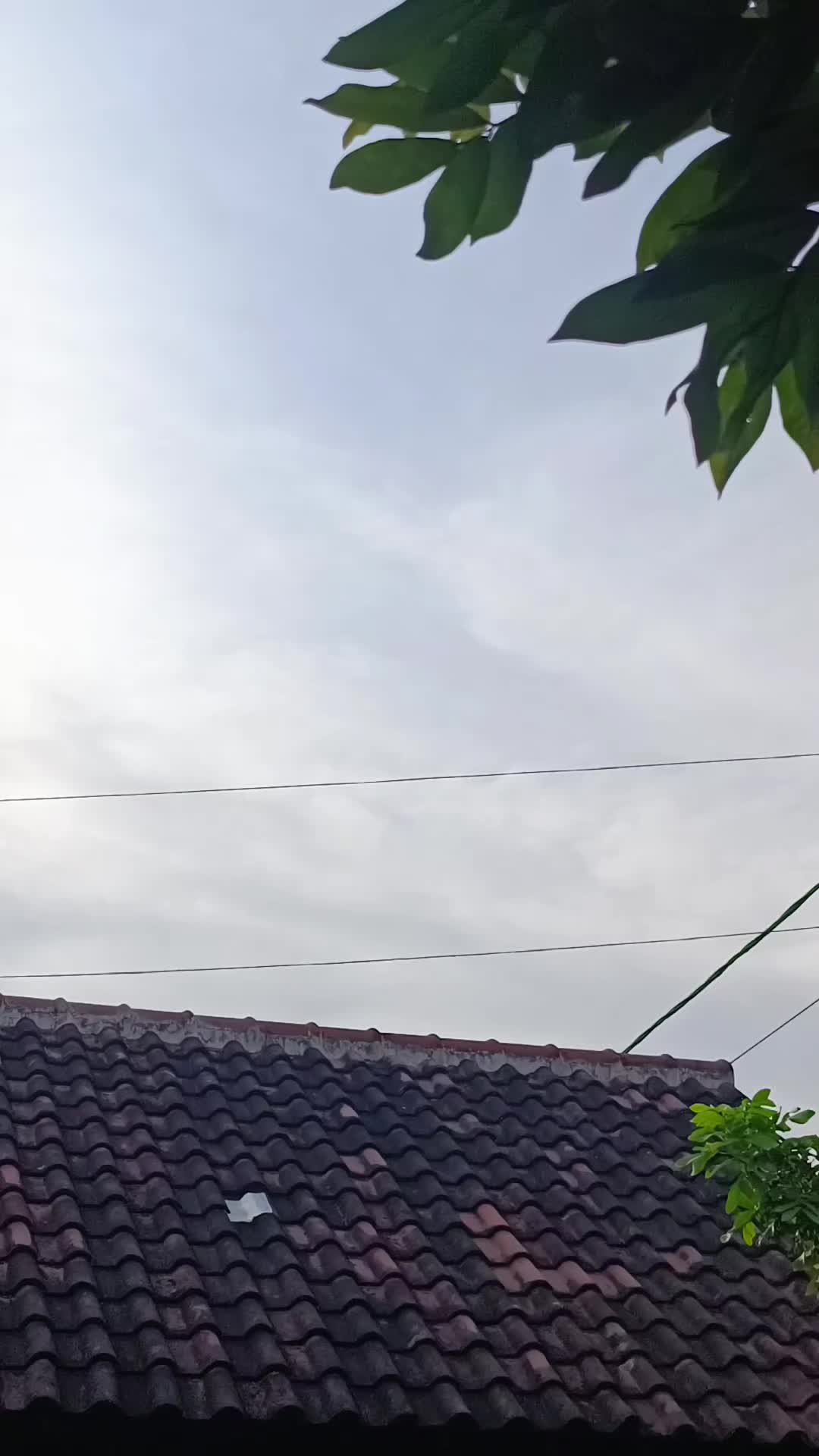 @Orishendarta