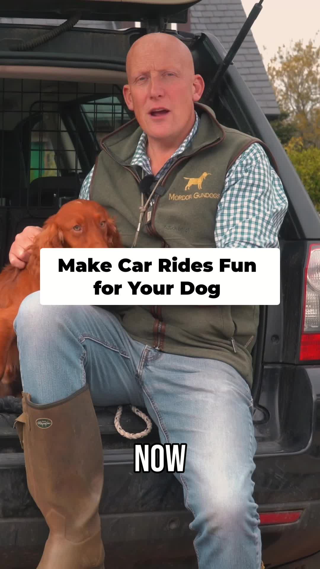 @Mordor Gundogs