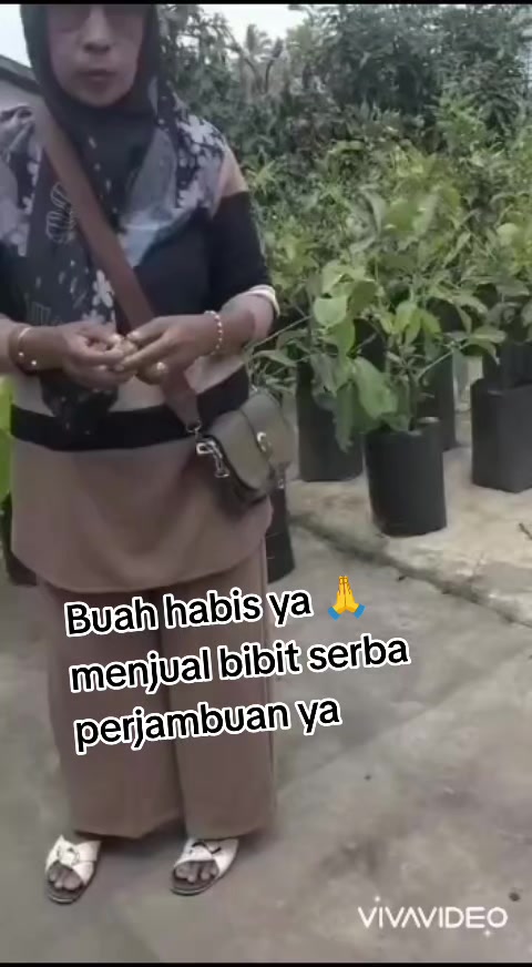@Bibit khusus samarinda